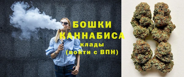 PSILOCYBIN Армянск