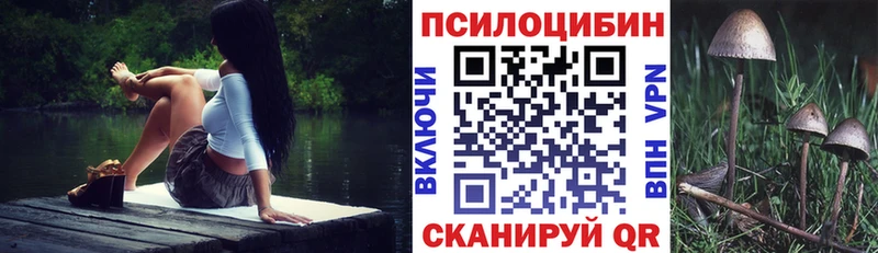 Псилоцибиновые грибы мухоморы  KRAKEN ссылки  Городец 