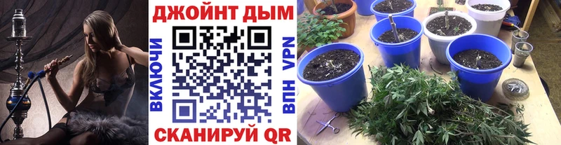 Бошки Шишки марихуана  mega tor  Городец 